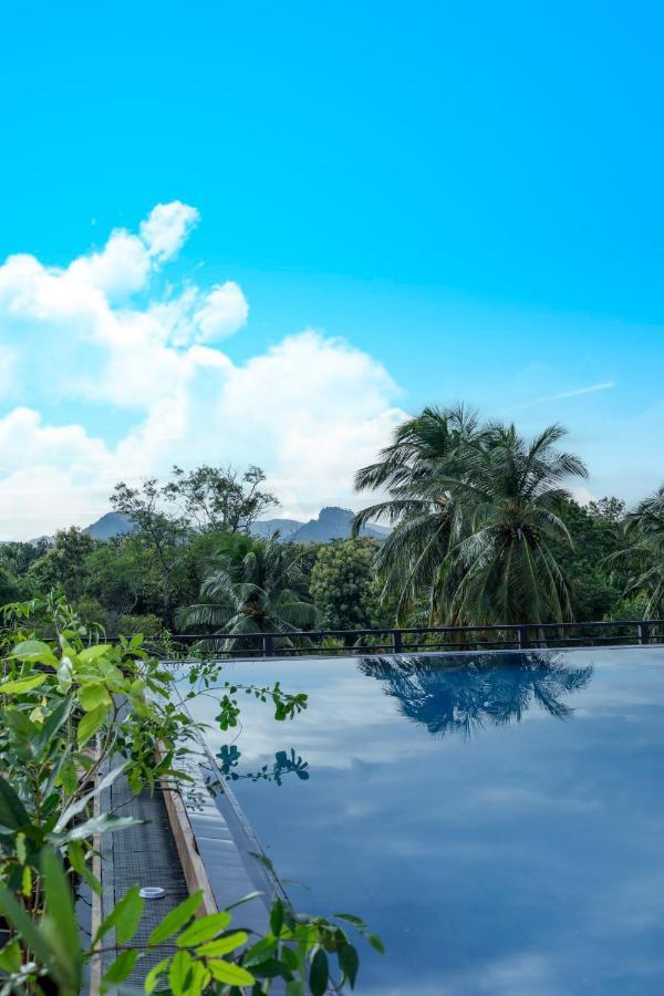 Covanro Sigiriya - Brand New Luxury Hotel מראה חיצוני תמונה